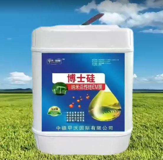 甲沃國際產(chǎn)品宣傳短視頻